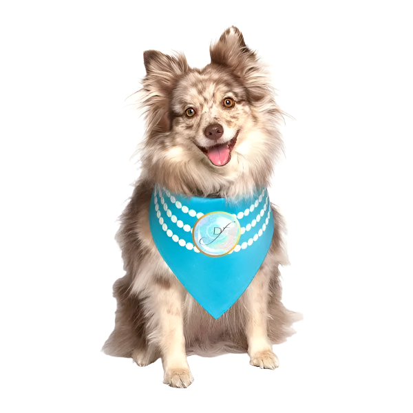 Pearl Fashion Wedding Dog Bandana by Dog Fashion Living