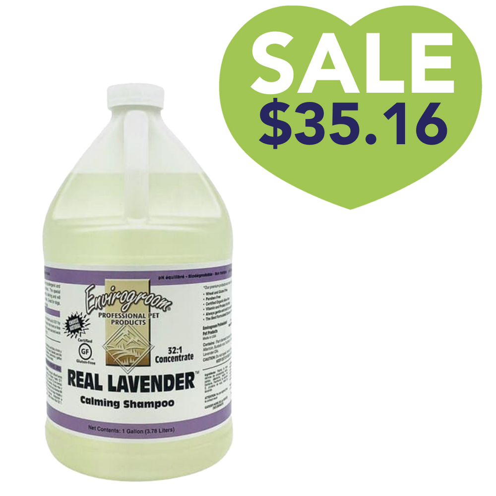 Real Lavender Shampoo Gallon by Envirogroom