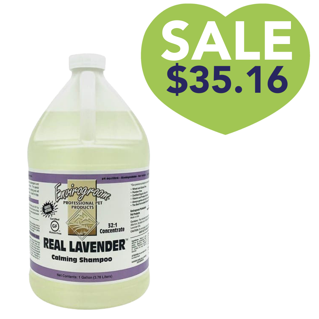 Real Lavender Shampoo Gallon by Envirogroom