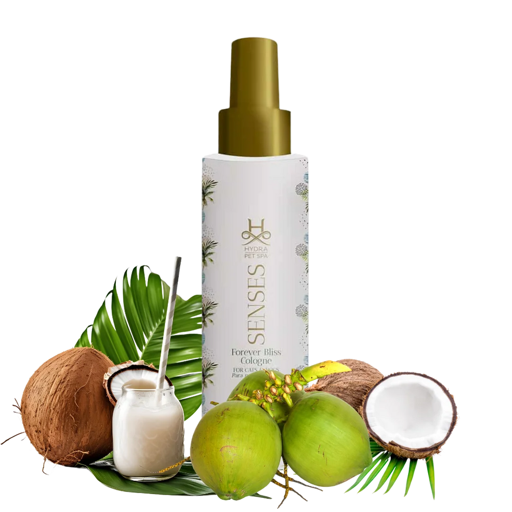 Senses Bliss Cologne by Hydra