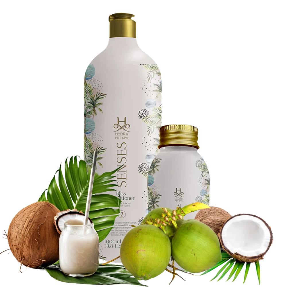 Senses Bliss Conditioner and Booster by Hydra