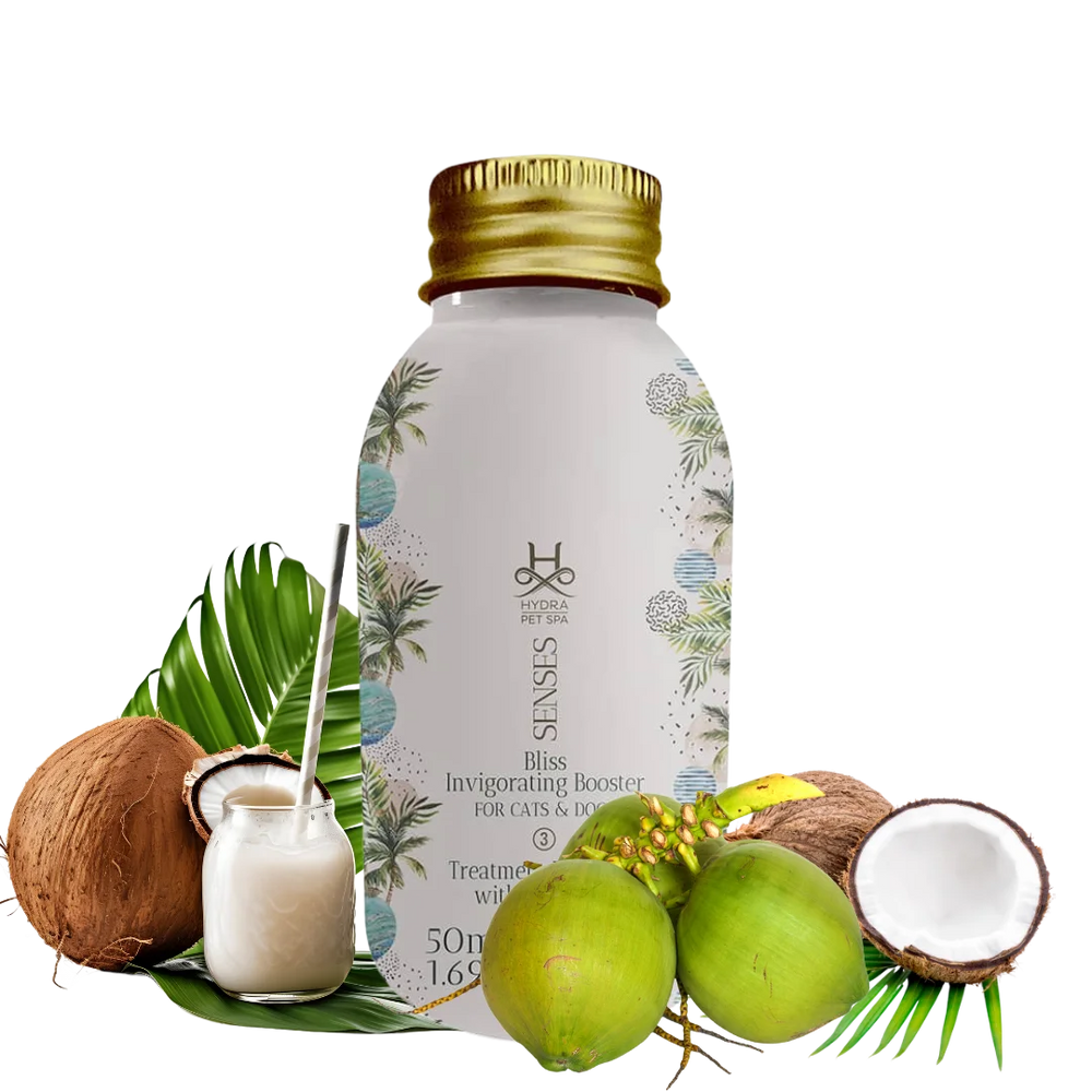 Senses Bliss Fortifying Conditioner Booster by Hydra