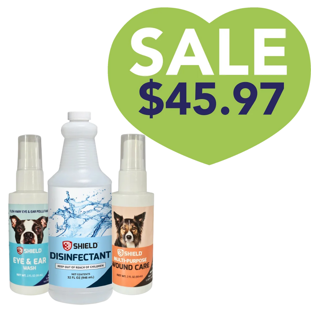 shield-essential-care-kit