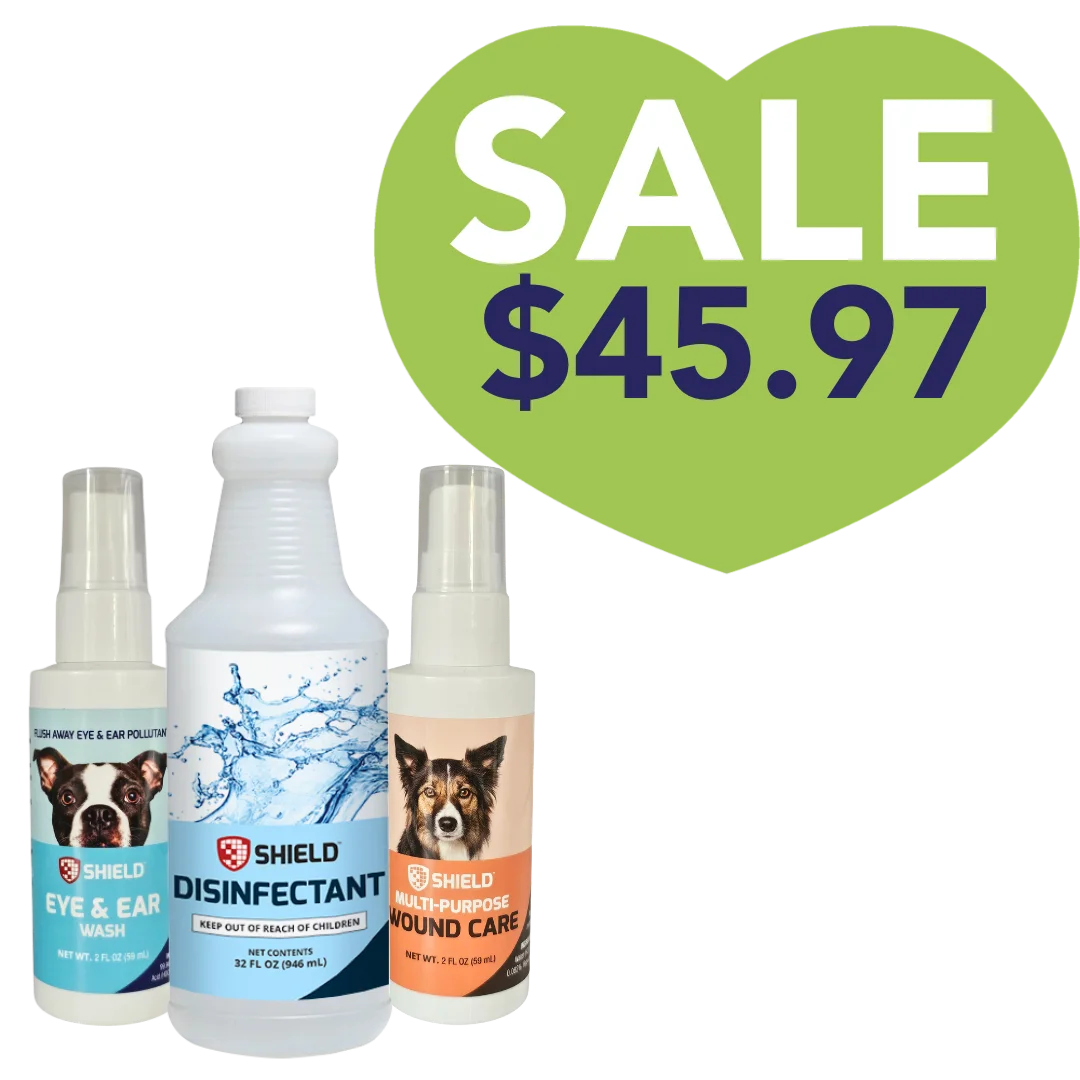 shield-essential-care-kit