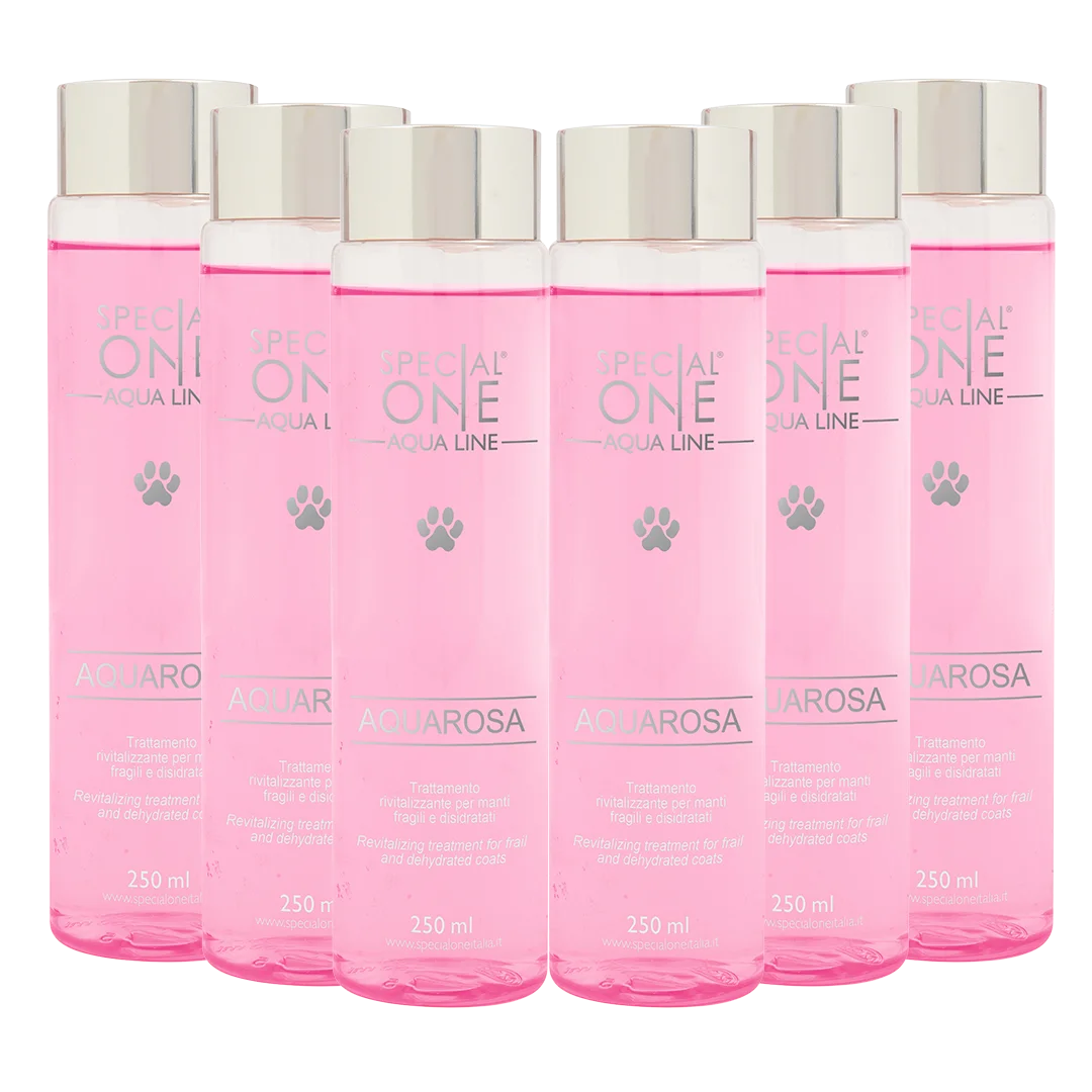Aquarosa Box of 6 250ml by Special One