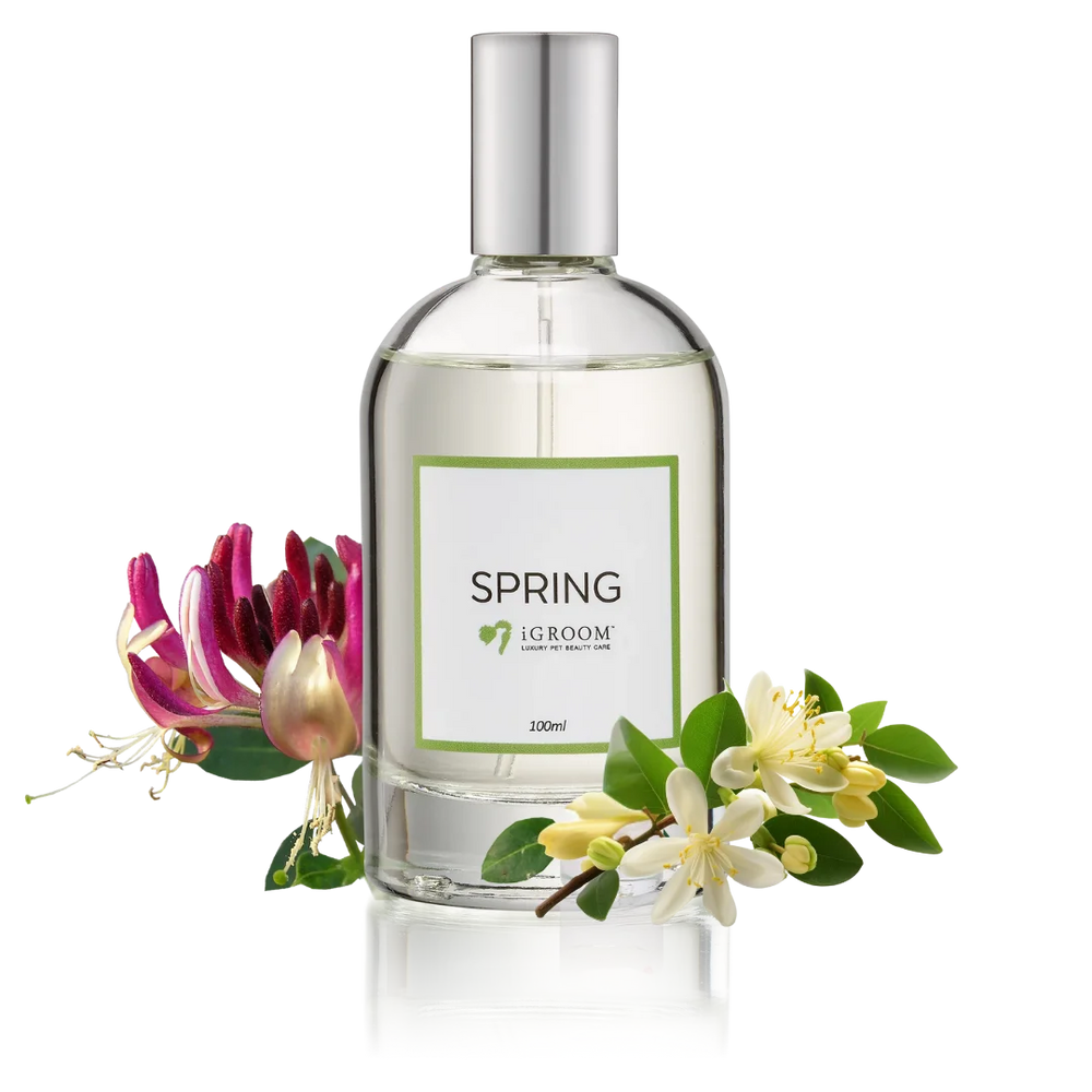 iGroom Spring Perfume 100ml