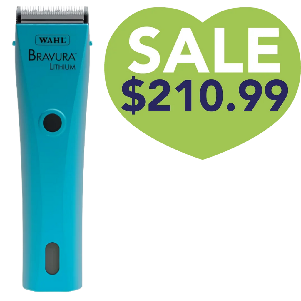 Bravura Lithium Cordless Clipper Turquoise by Wahl Bravura Lithium Cordless Clipper Turquoise by Wahl