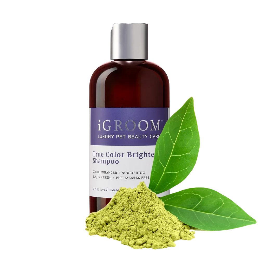 iGroom True Color Brightening Shampoo 16oz