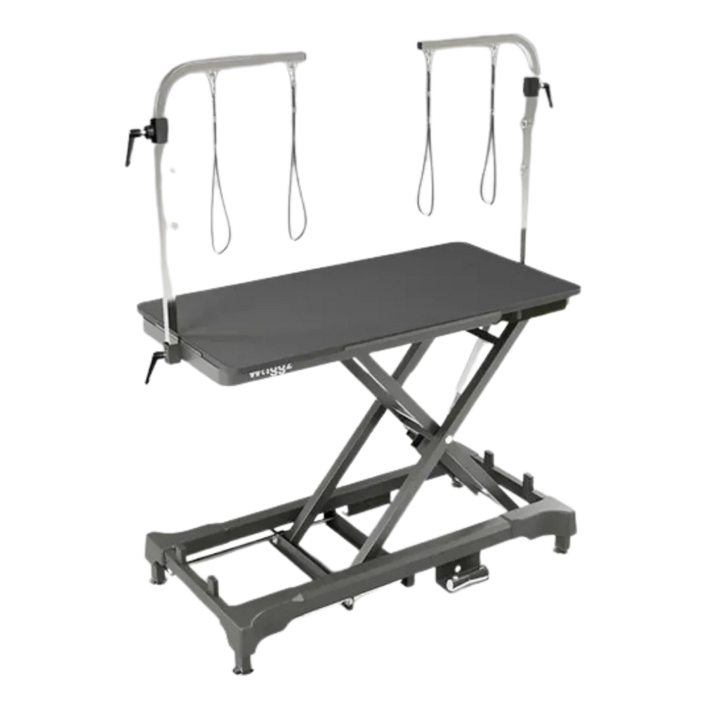 50" Dog Grooming 908 Electric Table without Drawer Black by Waggz