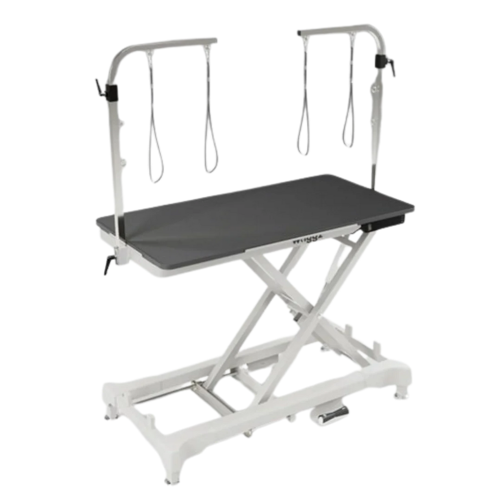 50" Dog Grooming 908 Electric Table without Drawer White by Waggz
