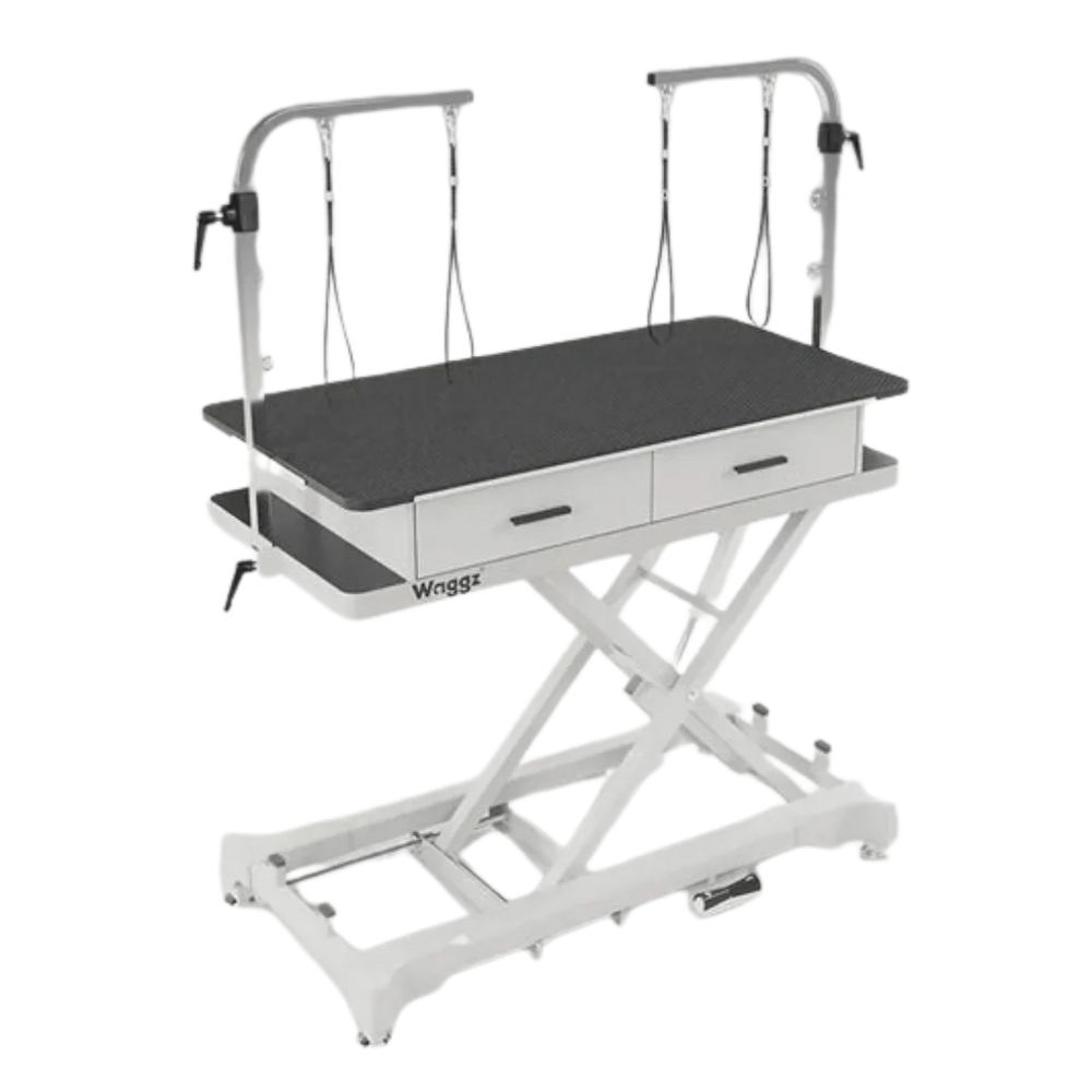50" Dog Grooming 999 Electric Table with Drawer White by Waggz