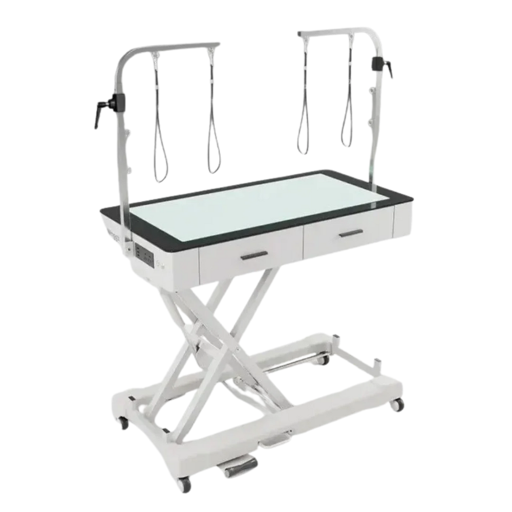 50" Dog Grooming LED Electric Table with Drawer and Caster White by Waggz