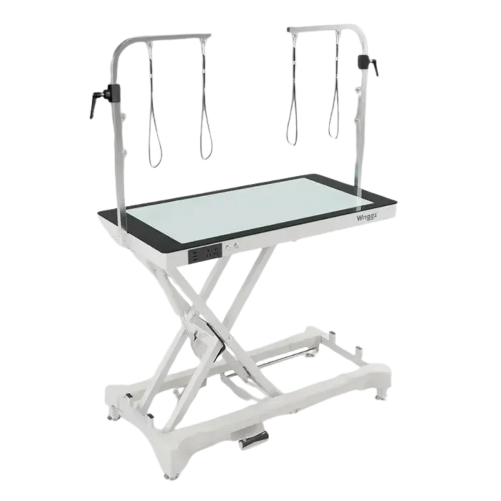 50" Dog Grooming LED Electric Table without Drawer White by Waggz