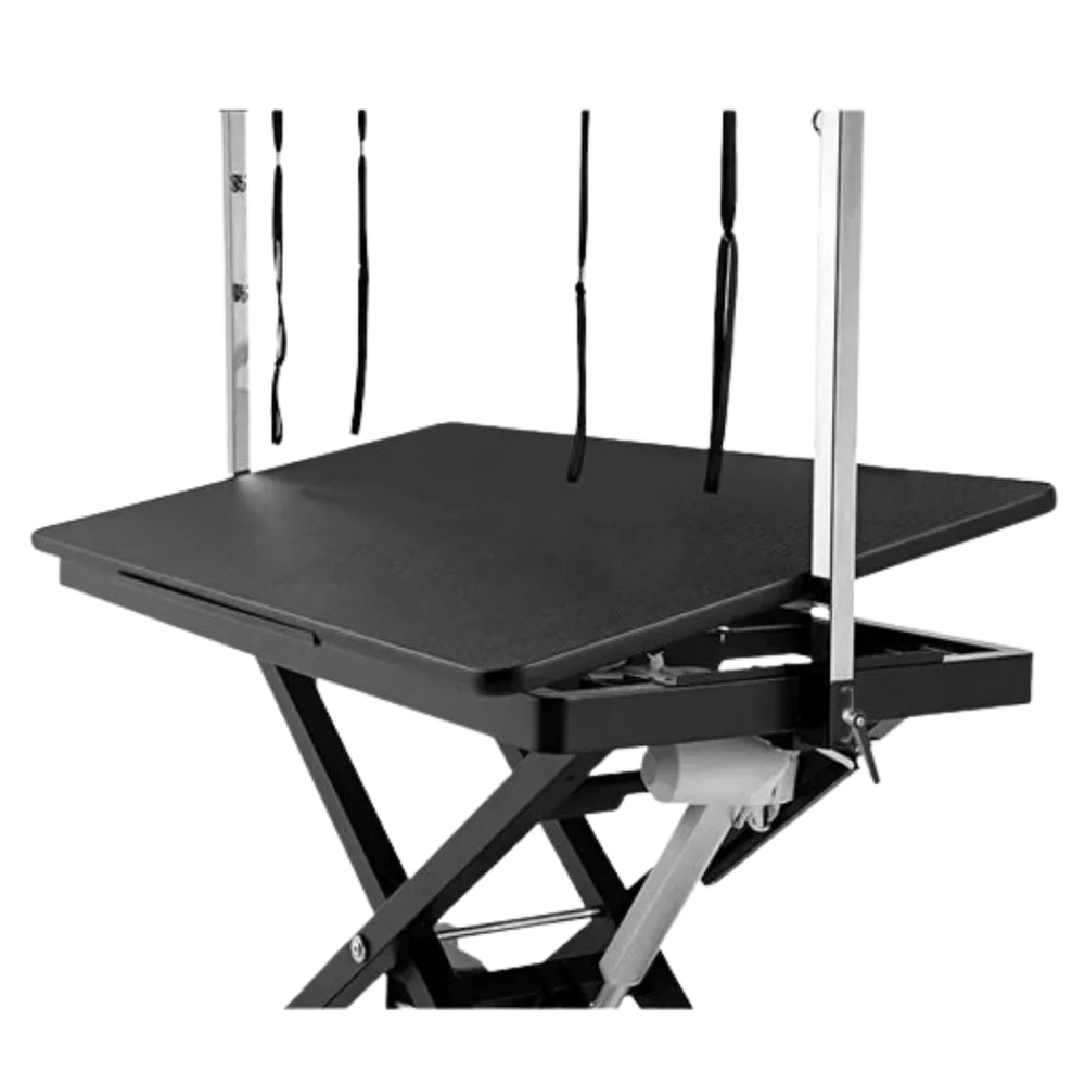 50" Dog Grooming 908 Electric Table without Drawer Black by Waggz