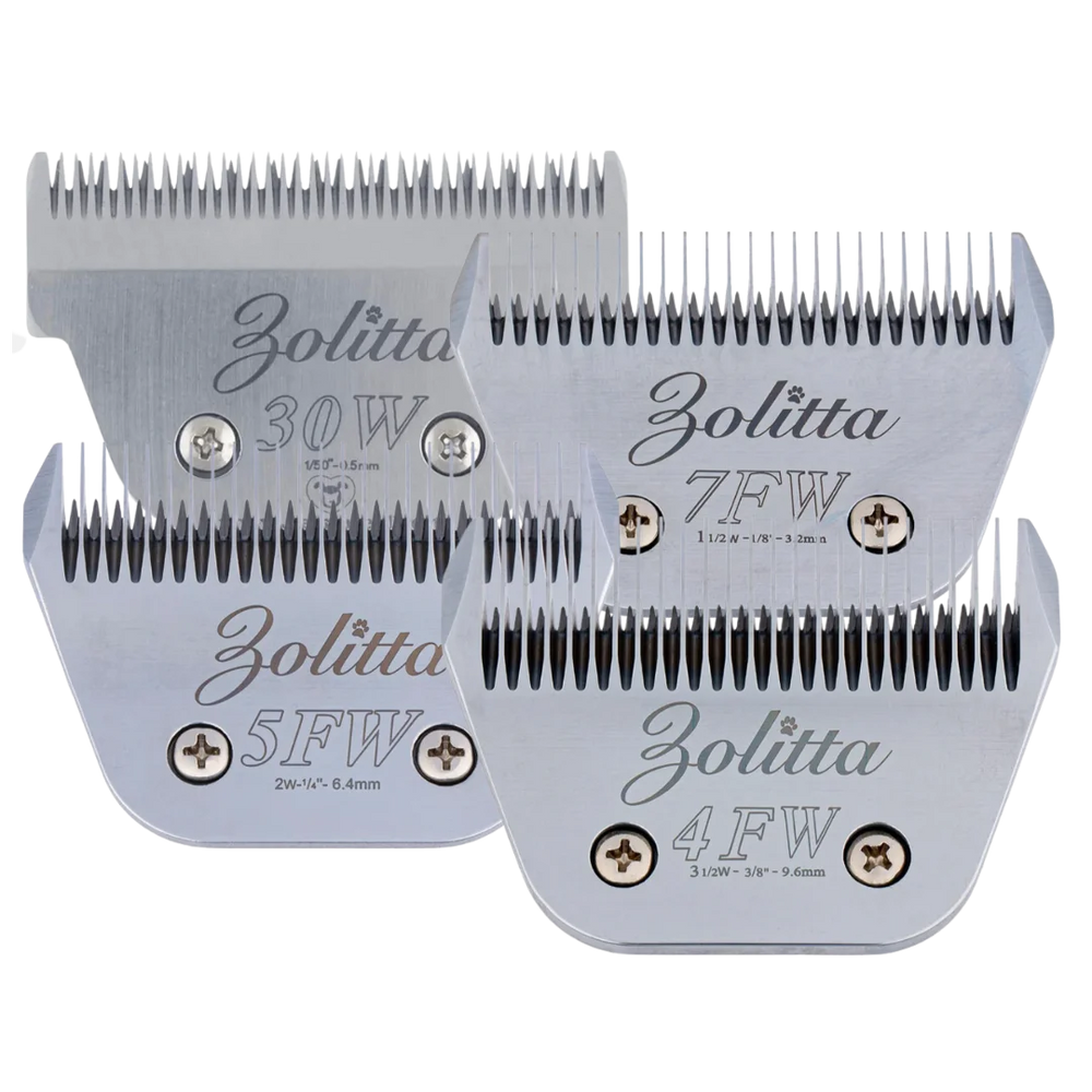 Best-Selling Wide Blades Set of 4 by Zolitta