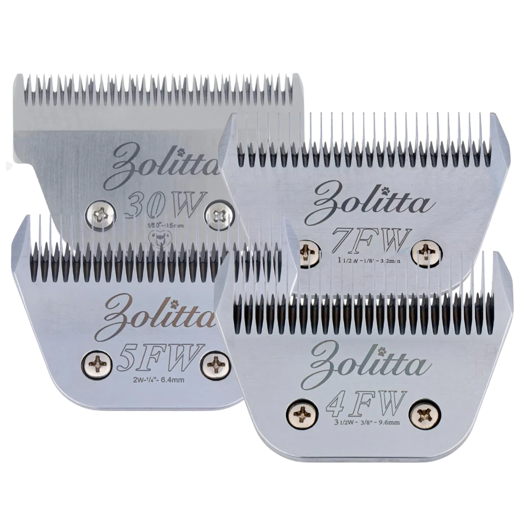 Best-Selling Wide Blades Set of 4 by Zolitta
