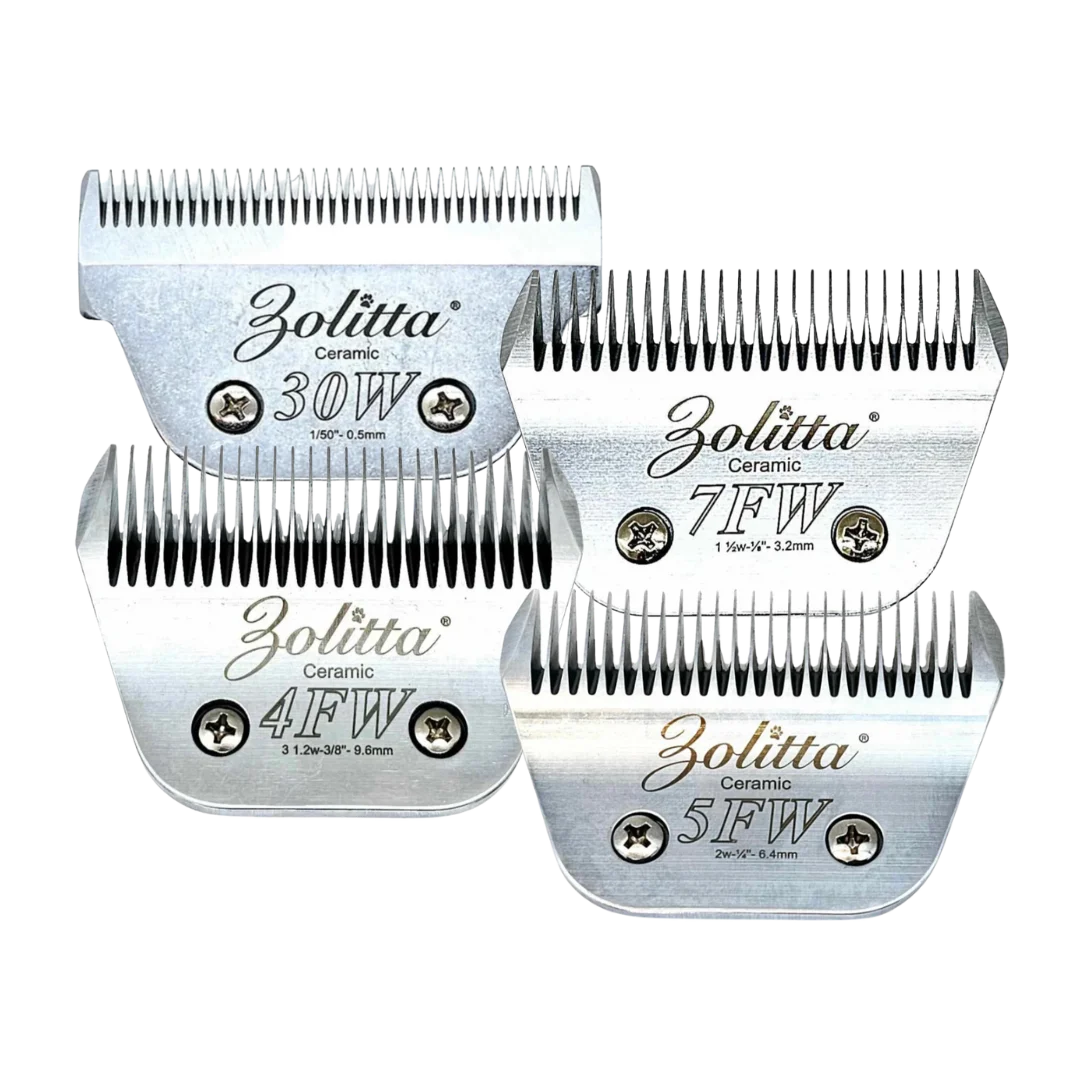 Best-Selling Wide Ceramic Blades Set of 4 by Zolitta