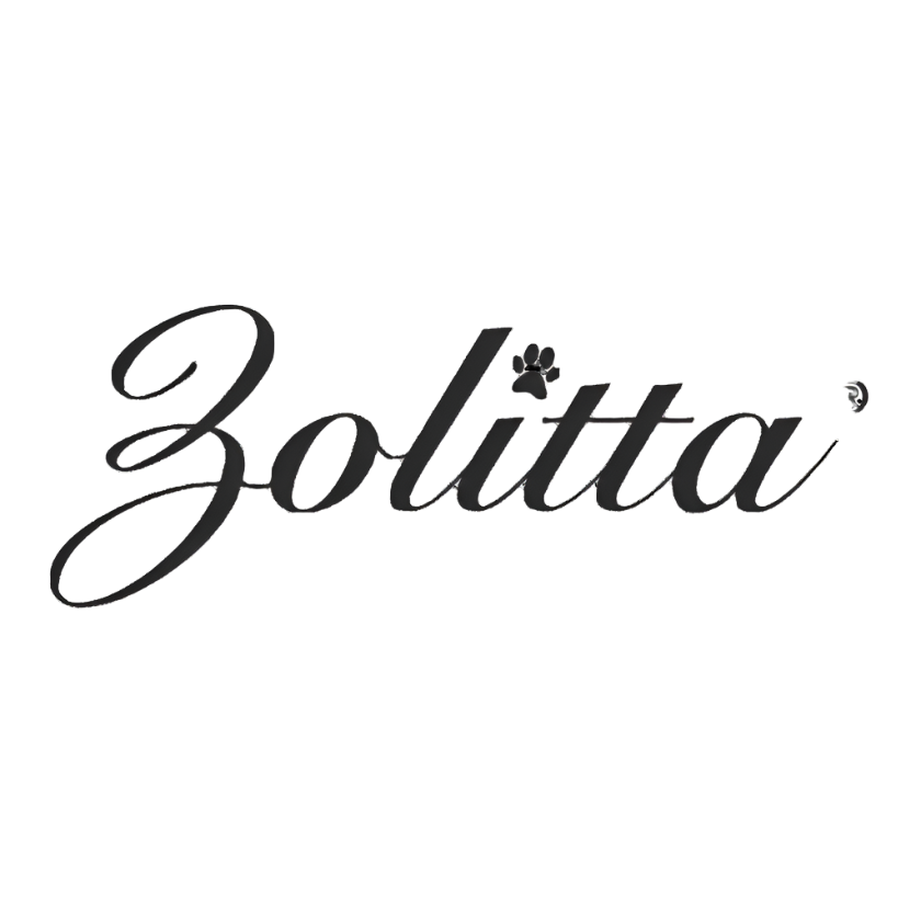 Zollita Logo
