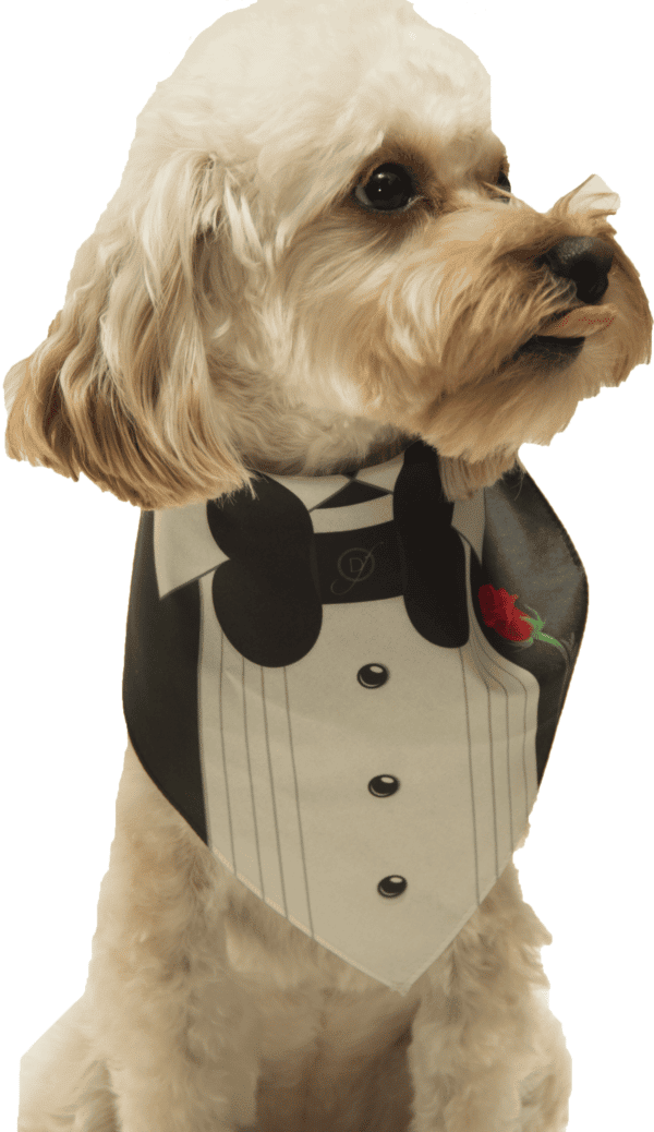 Tuxedo With Rose Wedding Dog Bandana by Dog Fashion Living