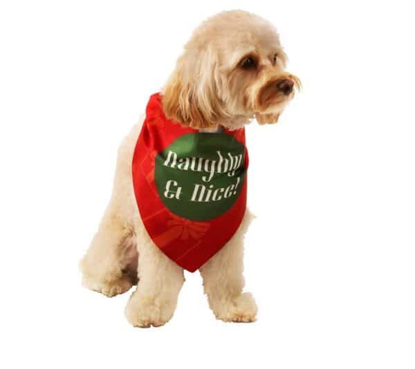 Naughty & Nice Holiday Dog Bandana by Dog Fashion Living
