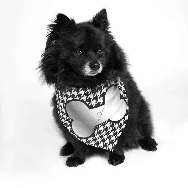 Silver Bone Classy Dog Bandana by Dog Fashion Living