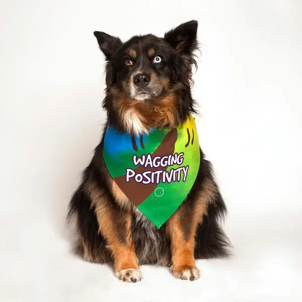 Wagging Positivity Dog Bandana by Dog Fashion Living