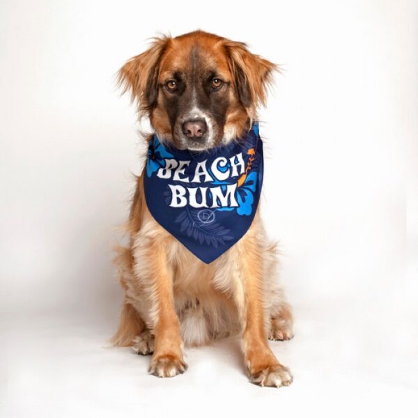 dog fashion living beach bum bandana