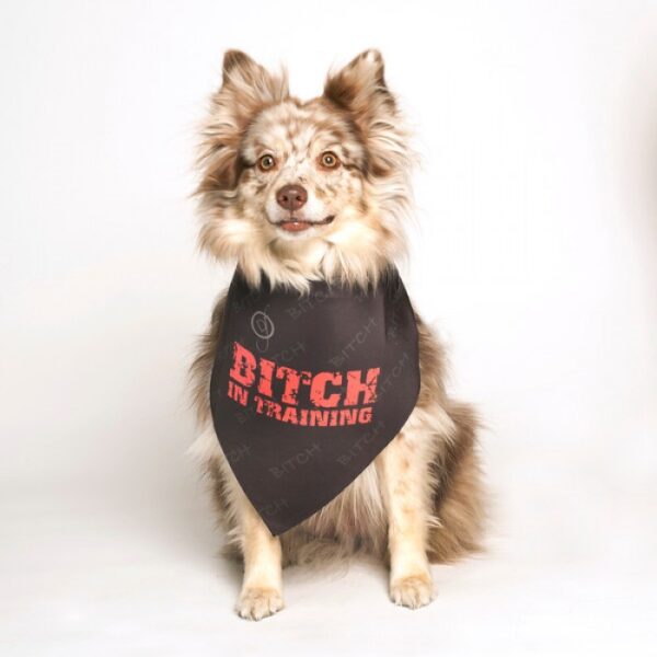 dog fashion living bitch in training bandana