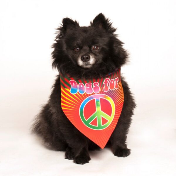 dog fashion living dogs for peace bandana