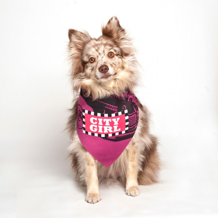 dog fashion living city girl bandana