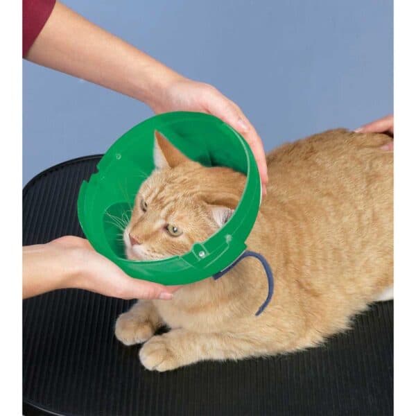 Cat and Small Dog E-Collar and Muzzle