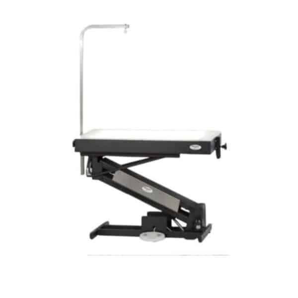 masterlift lowrider lighted top electric grooming table by petlift