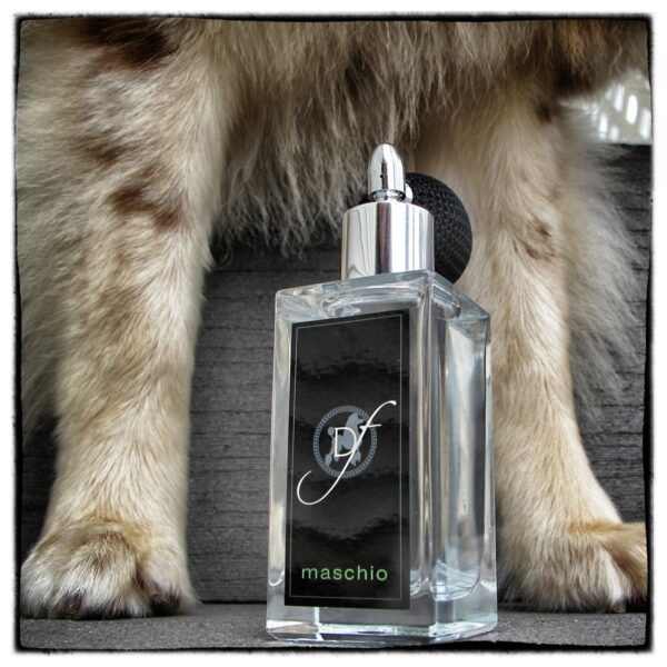Maschio Male Dog Perfume by Dog Fashion Spa