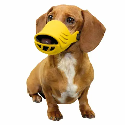 Small Silicone Muzzle for Dogs by Artero