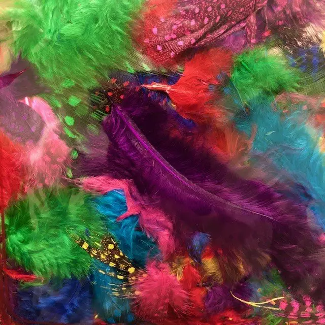 Creative Feathers - Mixed Colors