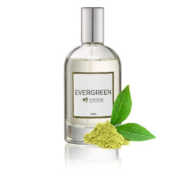 igroom evergreen perfume 100ml