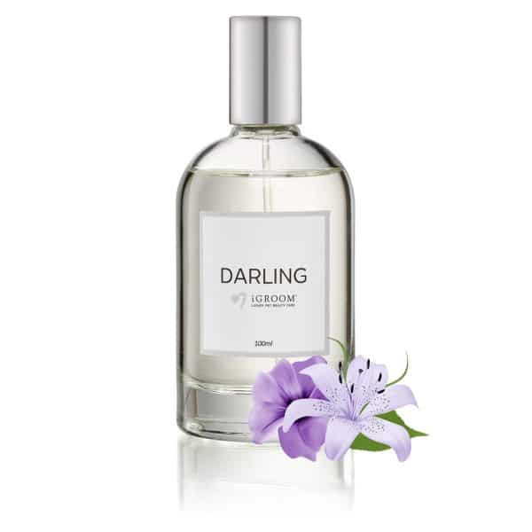 igroom darling perfume 100ml