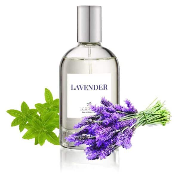 igroom lavender perfume 100ml