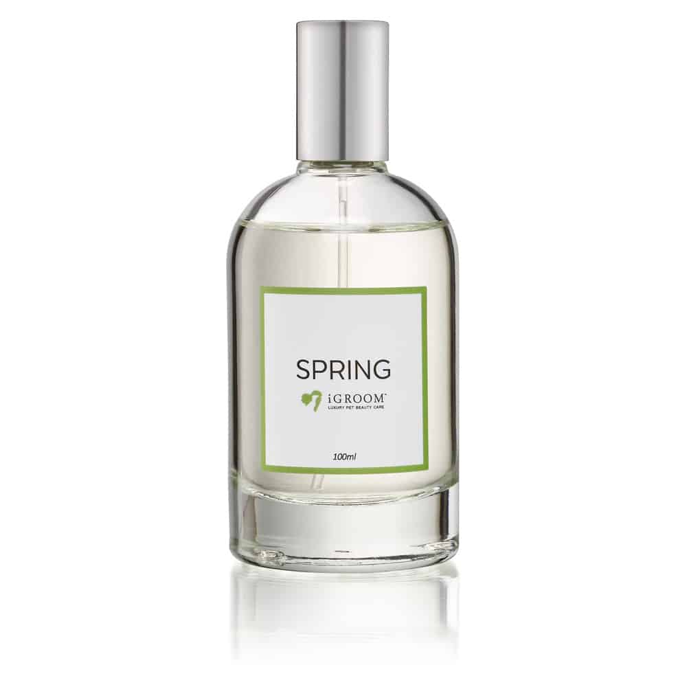 igroom spring perfume 100ml