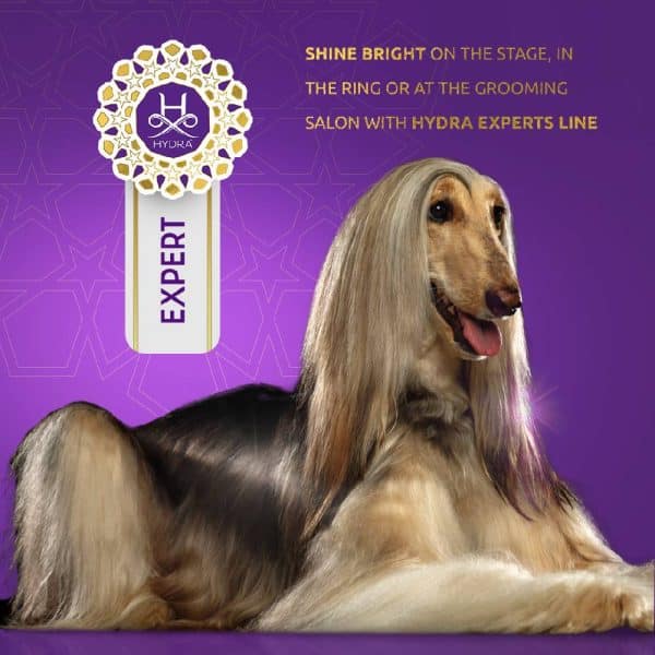 hydra expert shampoos and conditioner for dogs